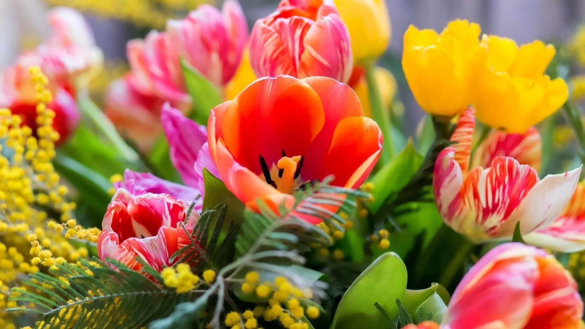 С Международным женским днём! В эти первые весенние дни весь мир сияет в вашу честь! С Международным женским днём! В эти первые весенние дни весь мир сияет в вашу честь!